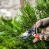 🌿 حديقة و نباتات