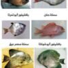 🐟 أنواع الأسماك