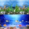 🐠 أسماك وزينة الأحواض
