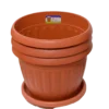 🪴 أصص وزراعة