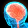 🧠 الأعصاب والدماغ